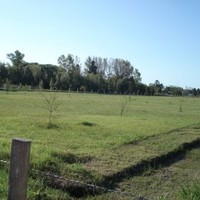 Guillermo Mendieta