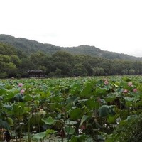 邬鹏飞