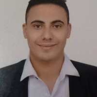 Sayed Ali Elsayed