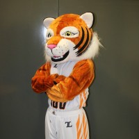 Tee The Tiger