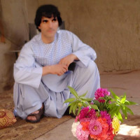 Sharifi Barak