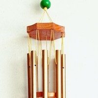 Dũng Nguyễn thế