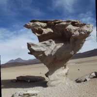 OMAR DRIAN CENTELLAS CASTRILL0