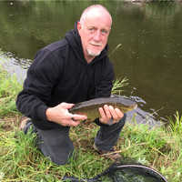 Henk Lambert