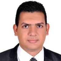 Ahmed Elwany