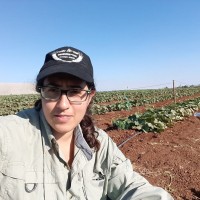 Efrat Shlomo