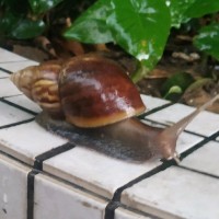 赵泽钦