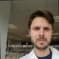 Daniele Porceddu