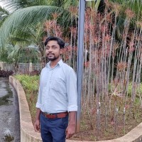 Rajvir Ray