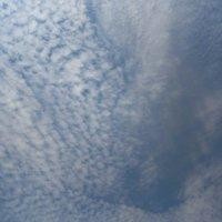 黄永涛