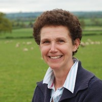 Kate Phillips