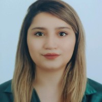 Gülçin Kurt