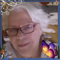Sandra J Noble
