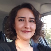 Bengi Bi̇ber Özkan