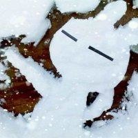 王琨鹏