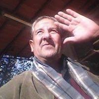 عماد ناصر