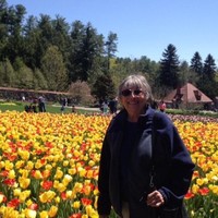 Martha Tracy