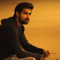 Mann Paryani