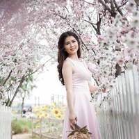 Dao Ly