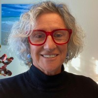 Lisa Widmark