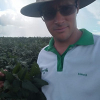 Evandro Henrique Petter