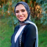 Alaa Samir