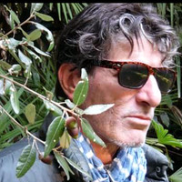 Vittorio Ghilarducci