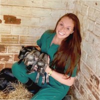 Rafaella Dalabona Azevedo