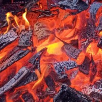 Martin Oberhollenzer