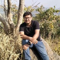 Raja Bhattacharjee