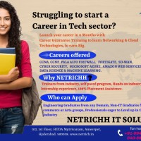 NETRICHH IT SOLUTIONS .