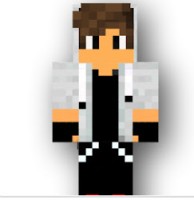 Paulinho Zution Gamer