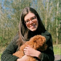 Chiara Stulens