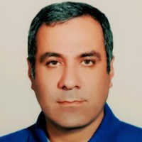 shahram najafi