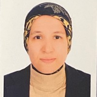 Wessam Ibrahim