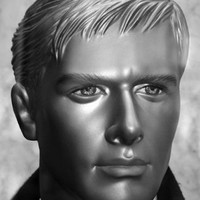 Hans Peter Koch