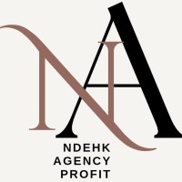 Ndehk Agency Profit