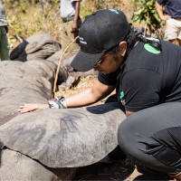 Serisha Naidoo Ca(Sa)