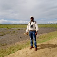 Simba Munyambo