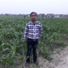 Md Dilnawaz Alam