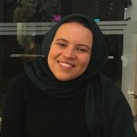 Bushra Tellisi