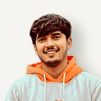 viplesh kumar