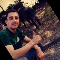 Anthony Ruscica