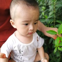 陈恒辉