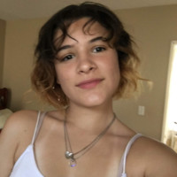 Sofelia Wink