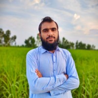Muhammad Zeeshan 🚀 Off Page SEO Specialist