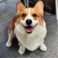 王进宝