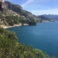 gerardo cardellicchio