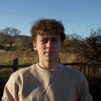 Ben Ripley