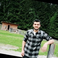 Ali Ghanayim